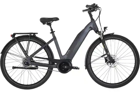 Bosch - E-Bike City - Carver Cityzen E.420 RT - 500 Wh - 28 Zoll - Tiefeinsteiger