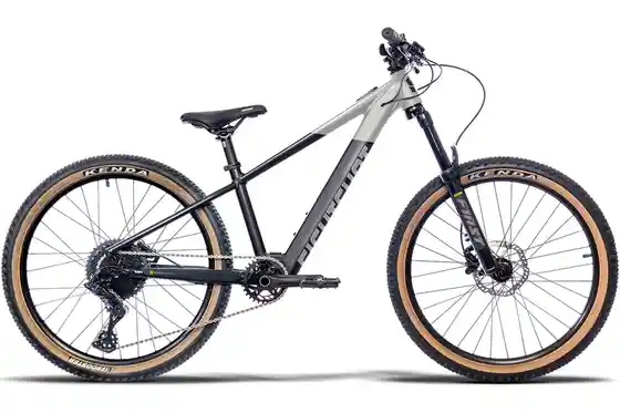 Schwarz - E-Bike-Pedelec - Eightshot Loamer 24 - 250 Wh - 24 Zoll - Diamant