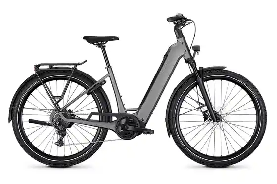 E-Bike Trekking - Kalkhoff Endeavour 3 Move - 600 Wh - 29 Zoll - Tiefeinsteiger - 2027