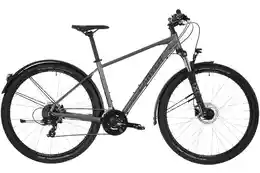 Carver Strict 120 Street - 29 Zoll - Diamant