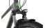Carver Strict 120 Street - 29 Zoll - Diamant - 2024