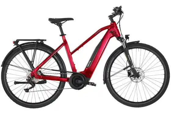 Kettenschaltung - E-Bike-Pedelec - Carver Route E.420 - 500 Wh - 28 Zoll - Trapez