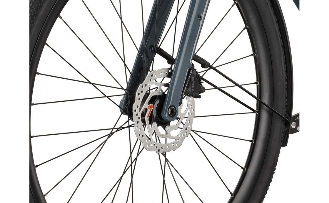 Carver Gravel 210 Street - 28 Zoll - Diamant - 2025