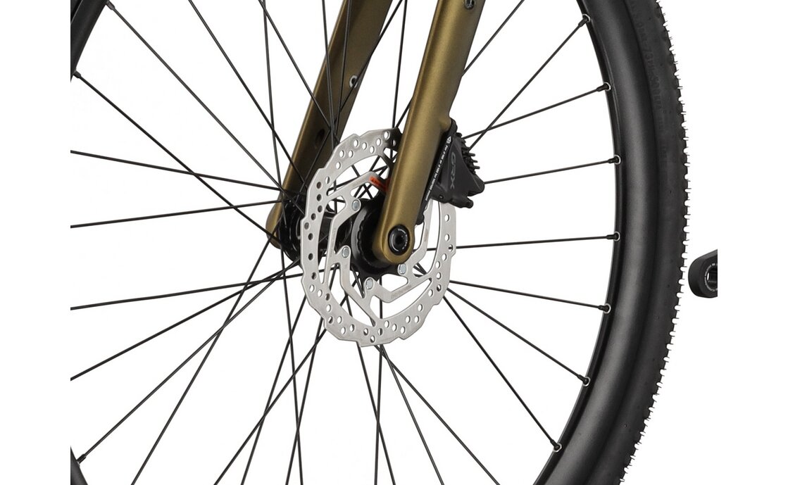 Carver Gravel 220 - 28 Zoll - Diamant - 2025