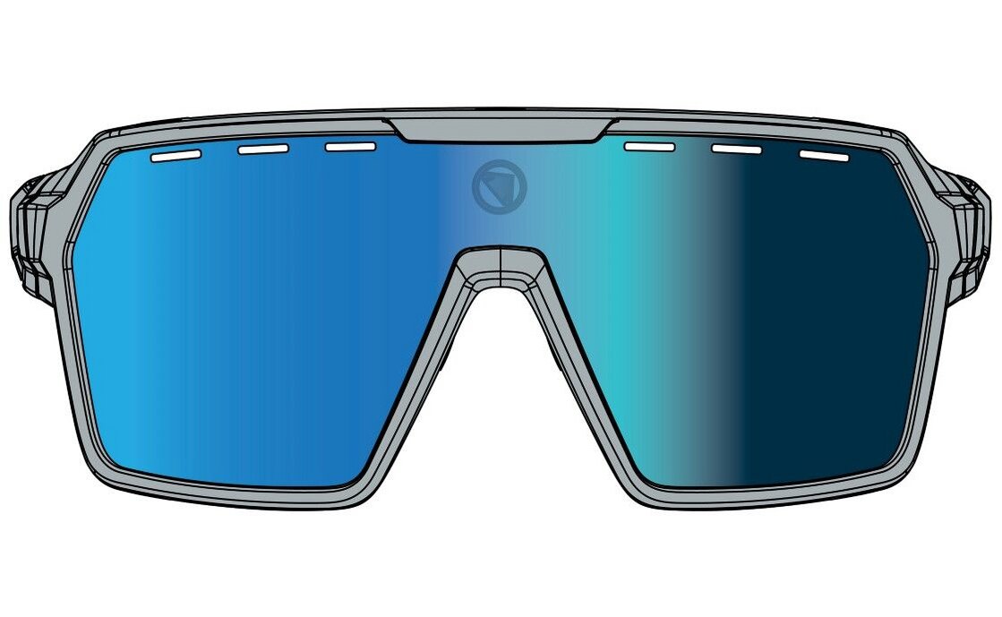 Endura Singletrack Brillenset - Grau
