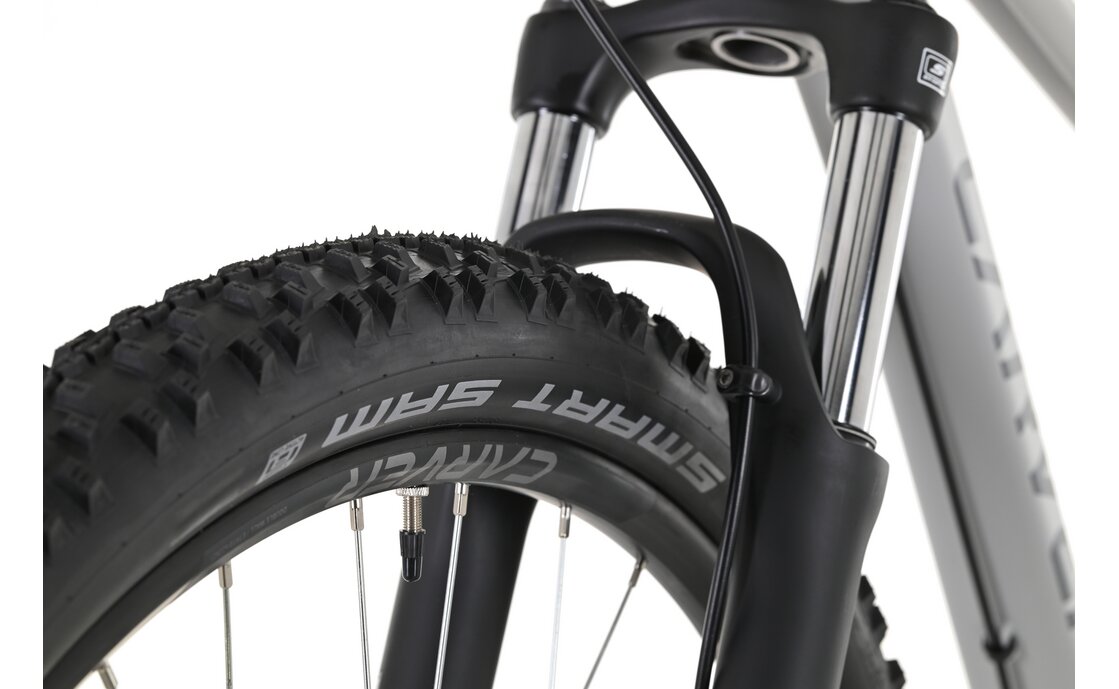 Carver Strict 130 - 29 Zoll - Diamant - 2024