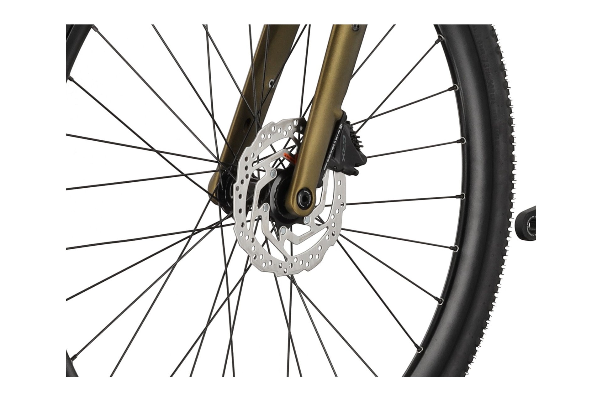 Carver Gravel 220 - 28 Zoll - Diamant - 2025