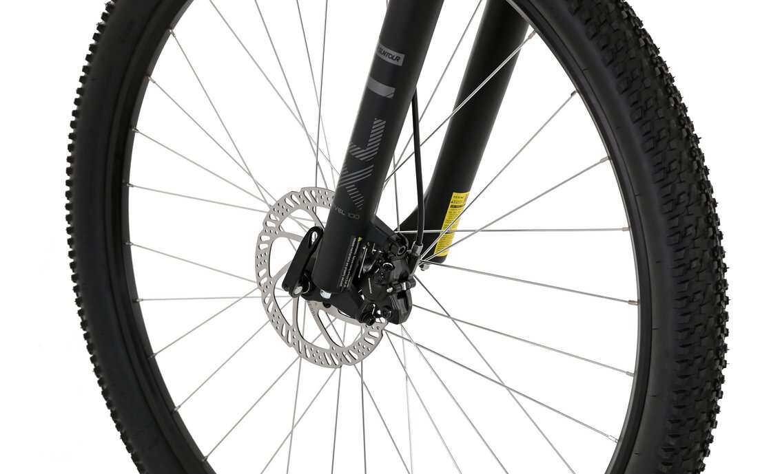 Carver Strict 110 - 29 Zoll - Diamant - 2024