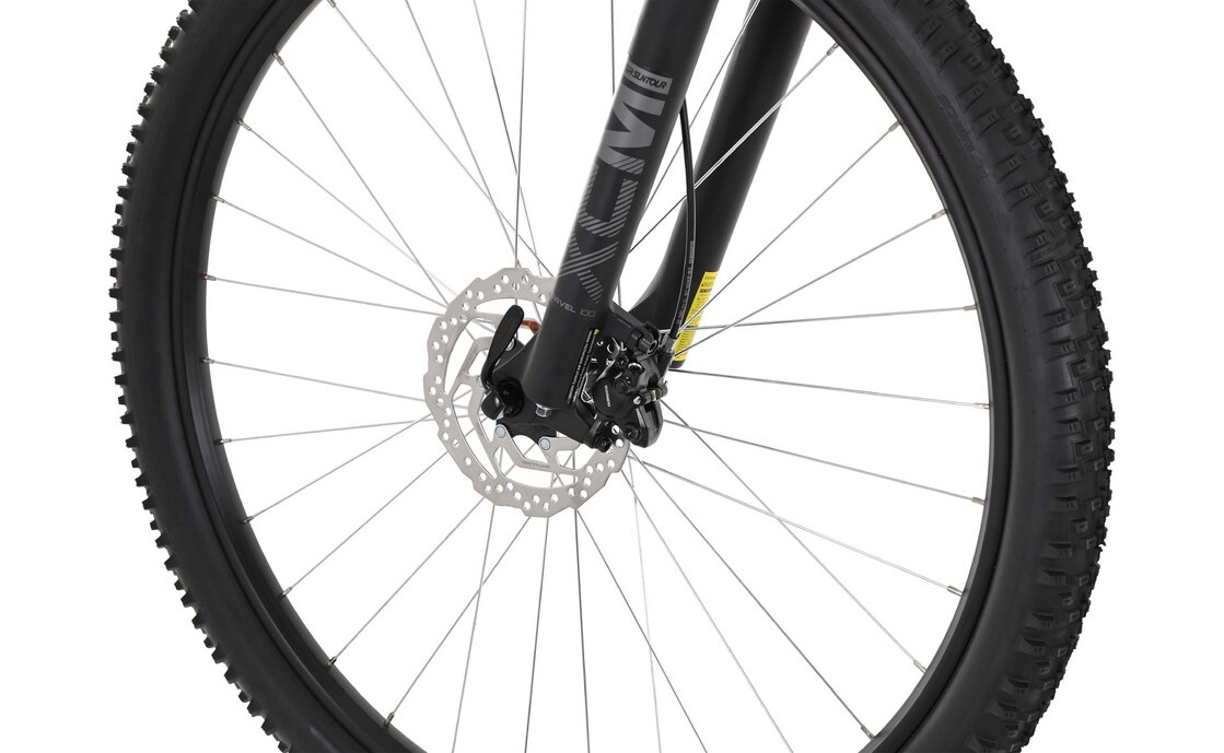 Carver Strict 120 - 29 Zoll - Diamant - 2024