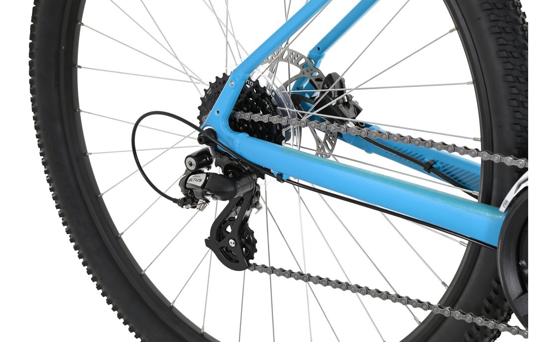 Carver Strict 110 W - 29 Zoll - Diamant - 2024