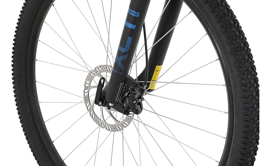 Carver Strict 110 W - 29 Zoll - Diamant - 2024