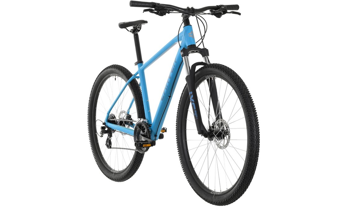 Carver Strict 110 W - 29 Zoll - Diamant - 2024