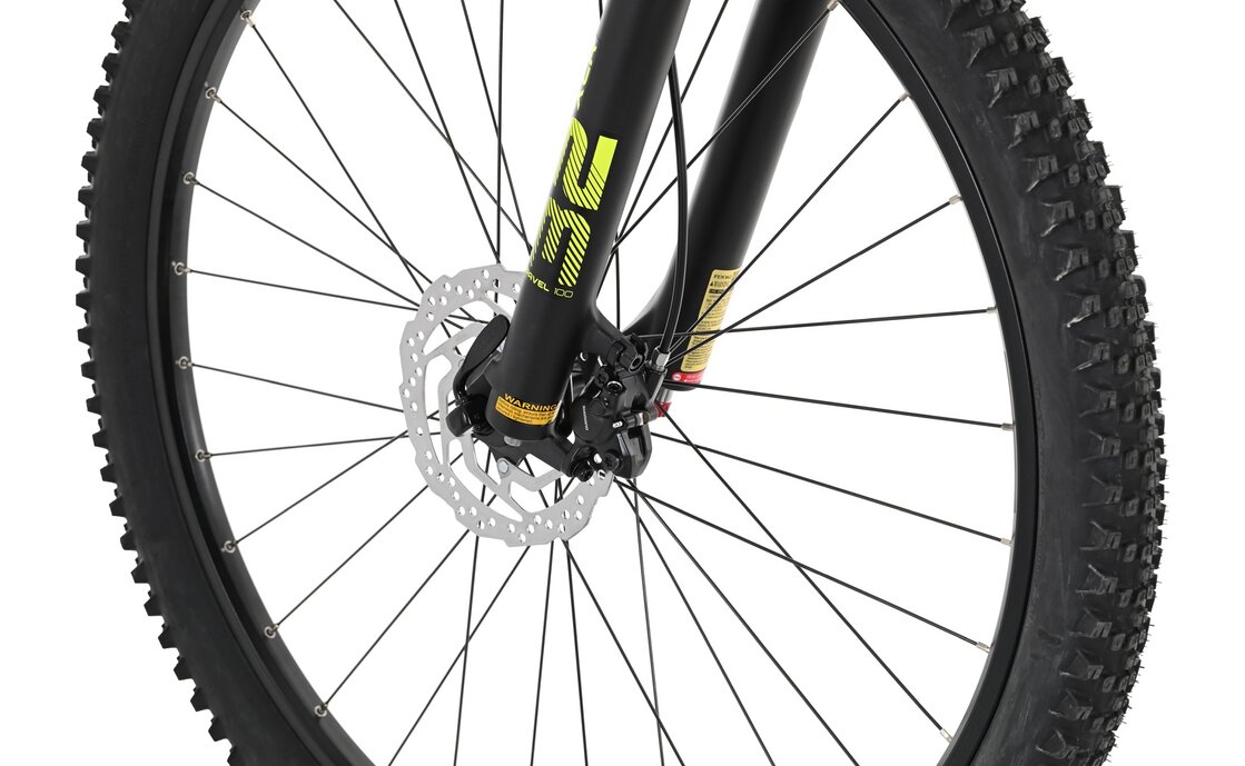 Carver Strict 150 - 29 Zoll - Diamant - 2023