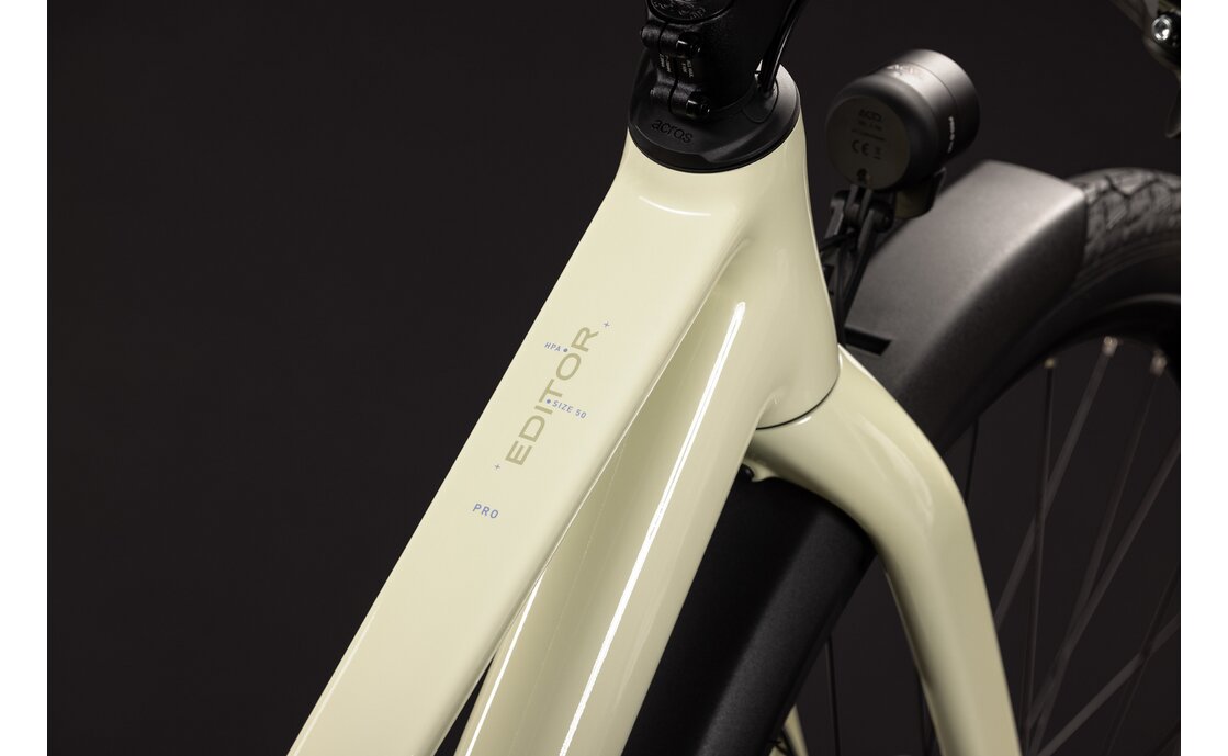 Cube Editor Pro FE - 29 Zoll - Trapez - 2027