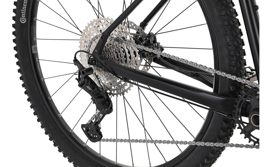 Carver Strict 150 - 29 Zoll - Diamant - 2023