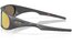 Oakley Neoforma Matte Carbon/Prizm 24K Polarized