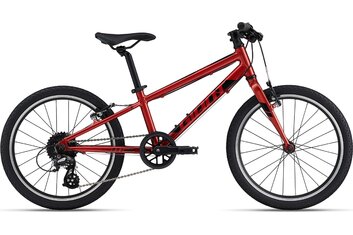 20 Zoll - Kindermountainbikes - Giant ARX 20 - 2022 - 20 Zoll - Diamant