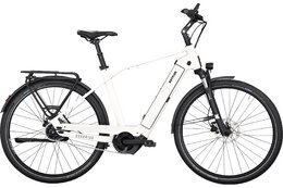 Kettler Quadriga P5 FL - 625 Wh - 28 Zoll - Diamant - 2025