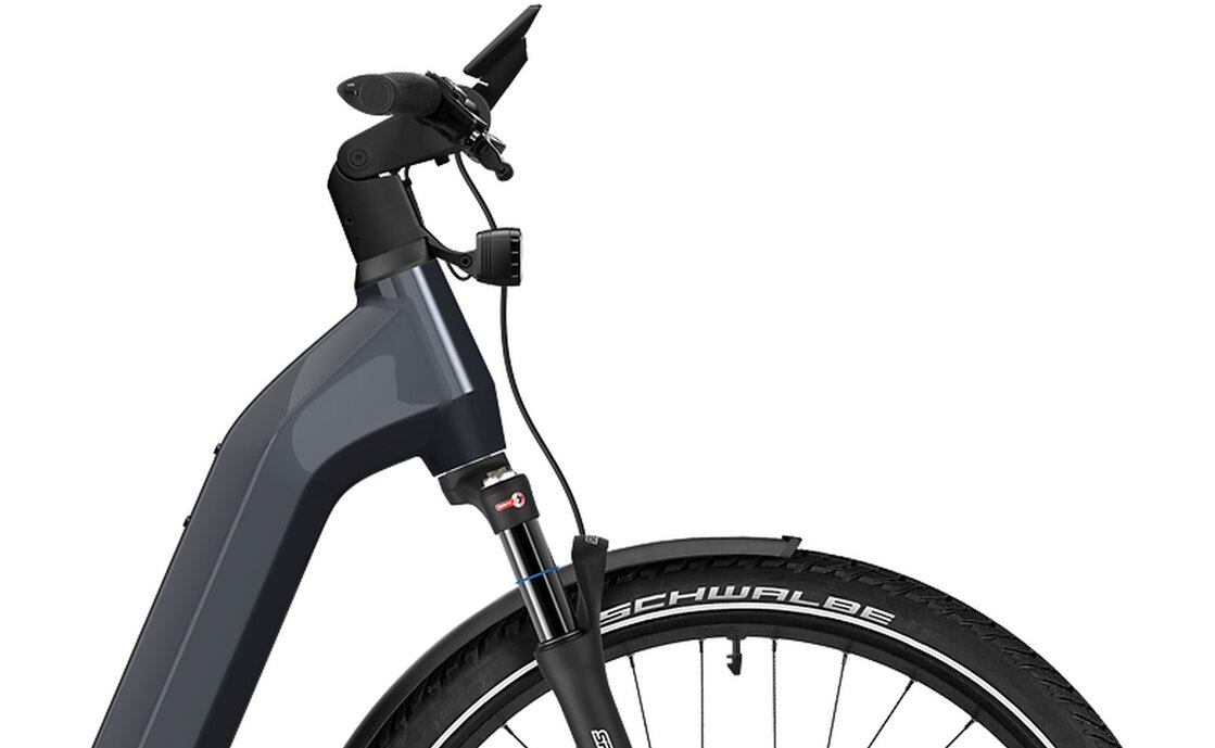 Flyer Gotour 7.23 Auto - 750 Wh - 29 Zoll - Damen Sport - 2025
