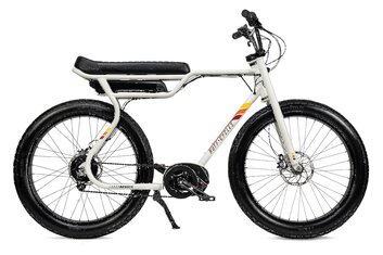 Enviolo - E-Bike-Pedelec - Ruff Cycles Biggie - 300 Wh - 2022 - Sonstiges