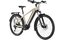Carver SUV E.410 - 625 Wh - 27,5 Zoll - Diamant - 2025