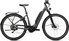 anthracite gloss