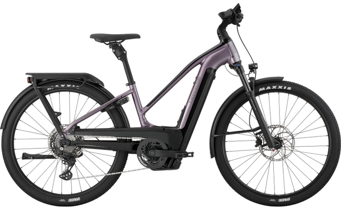 Cannondale Tesoro Neo X 1 STH - 750 Wh - 2024 - 29 Zoll - Diamant