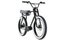 Ruff Cycles Biggie & Light Set - 300 Wh - 26 Zoll - Aktion