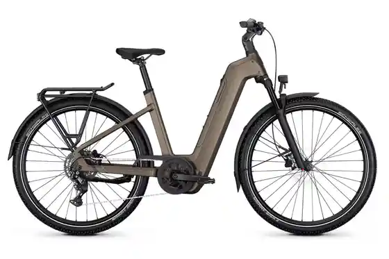 Mittelmotor - E-Bike-Pedelec - Kalkhoff Entice 5 Season - 800 Wh - 29 Zoll - Tiefeinsteiger - 2027