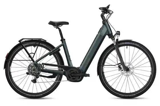 Kettenschaltung - E-Bike-Pedelec - Flyer G2 Gotour 5.10 - 800 Wh - 28 Zoll - Tiefeinsteiger