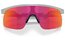 Oakley Resistor Matte Fog/Prizm Field