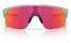 Oakley Resistor Matte Fog/Prizm Field