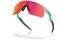 Oakley Resistor Matte Fog/Prizm Field