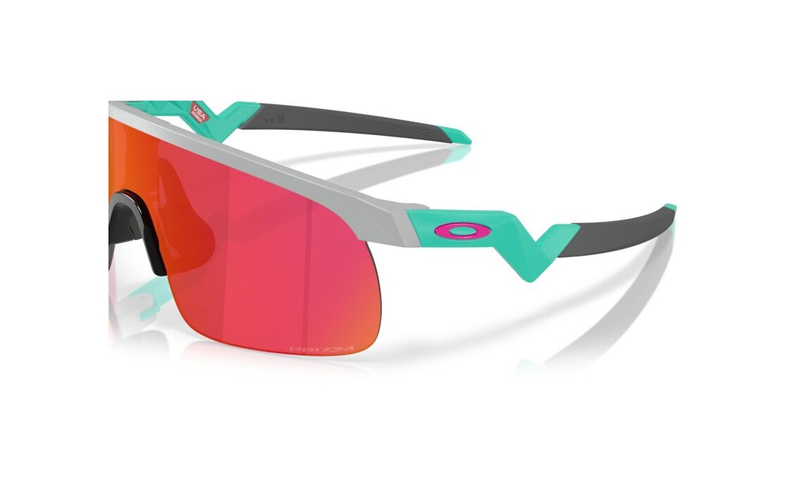 Oakley Resistor Matte Fog/Prizm Field