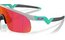 Oakley Resistor Matte Fog/Prizm Field