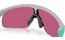 Oakley Resistor Matte Fog/Prizm Field