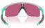 Oakley Resistor Matte Fog/Prizm Field