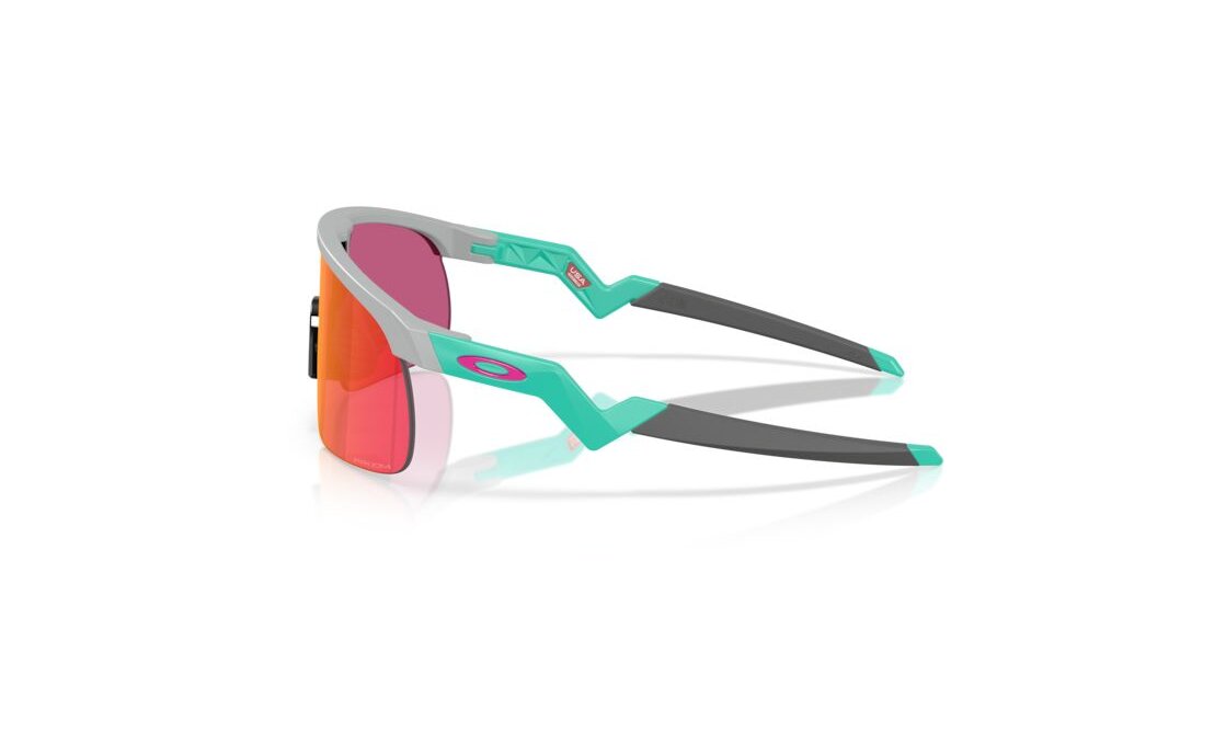 Oakley Resistor Matte Fog/Prizm Field