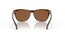 Oakley Frogskins Matte Brown Tortoise/Prizm Tungsten