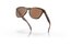 Oakley Frogskins Matte Brown Tortoise/Prizm Tungsten