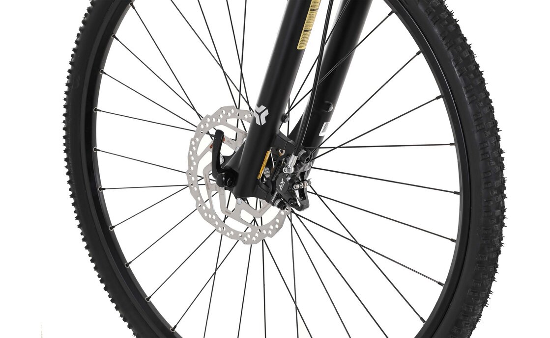 Carver Cinos 150 30s - 28 Zoll - Damen Sport - 2024