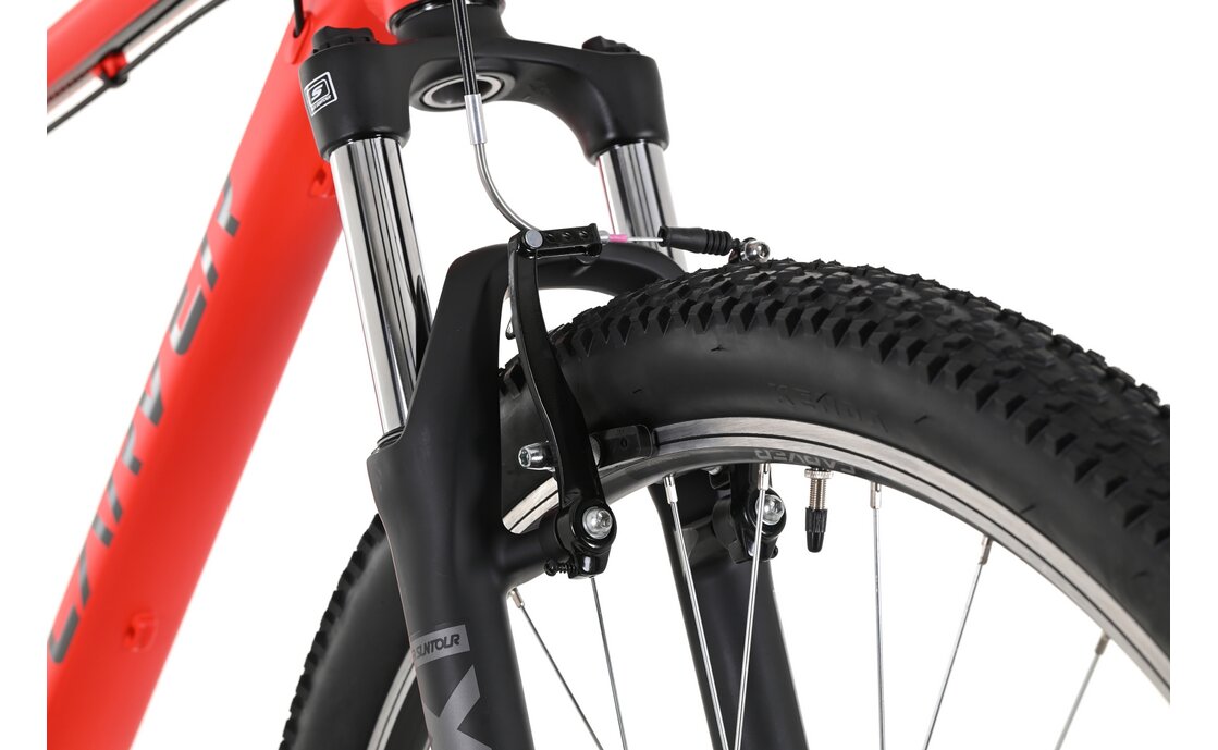 Carver Strict 100 - 27,5 Zoll - Diamant - 2024