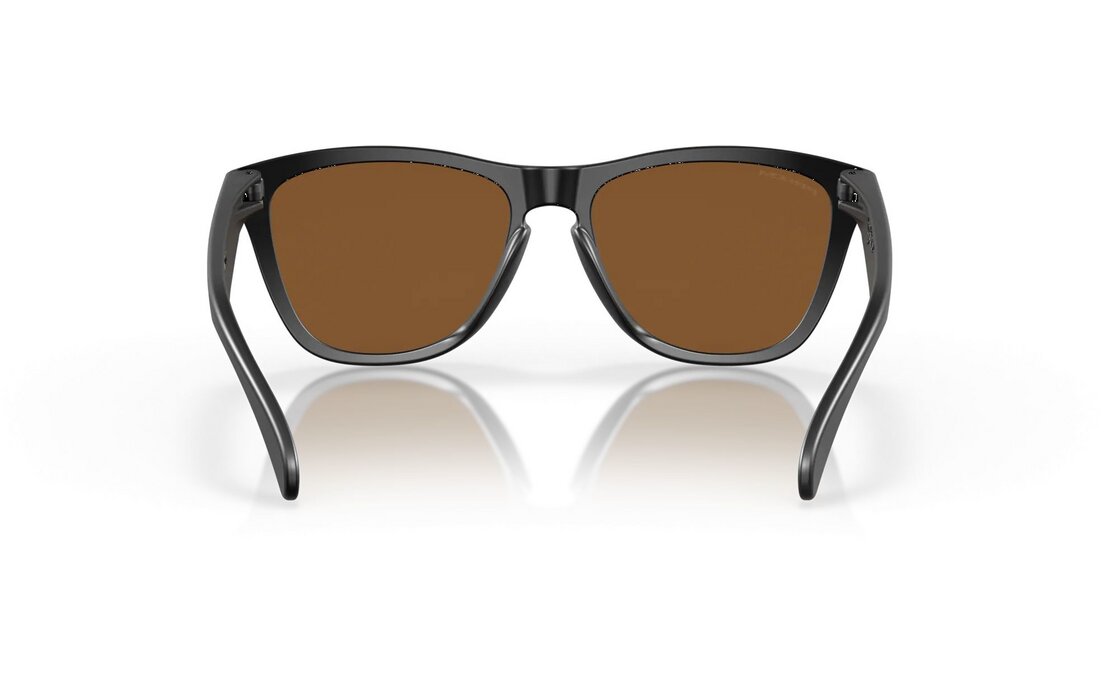 Oakley Frogskins Matte Black/Prizm Violet