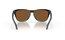 Oakley Frogskins Matte Black/Prizm Violet