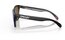Oakley Frogskins Matte Black/Prizm Violet