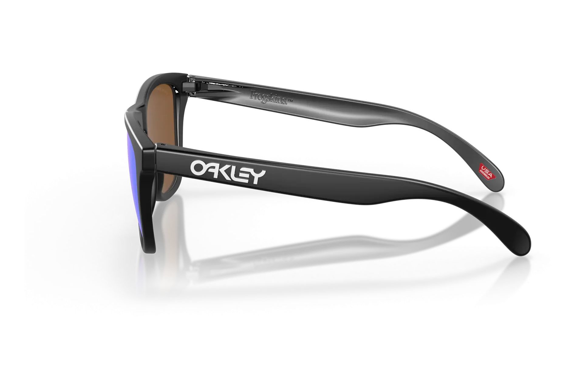Oakley Frogskins Matte Black/Prizm Violet