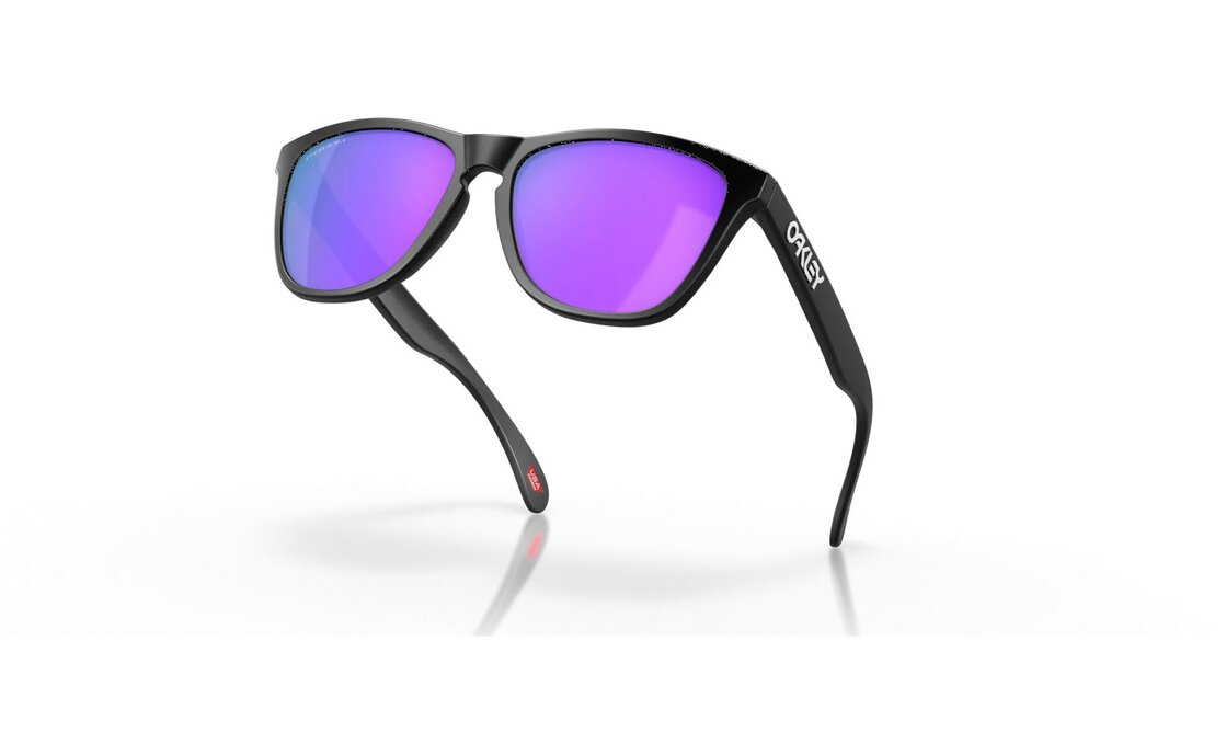 Oakley Frogskins Matte Black/Prizm Violet