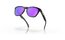 Oakley Frogskins Matte Black/Prizm Violet