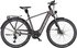 elderberry matt (silver+black)