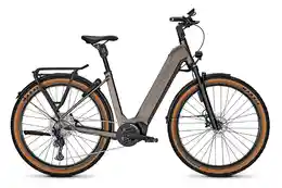 Kalkhoff Entice 5 Advance + ABS - 625 Wh - 29 Zoll - Tiefeinsteiger